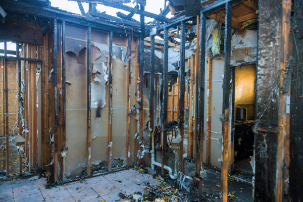 Professional Fire Damage Repair technician working in Gibsonton, FL