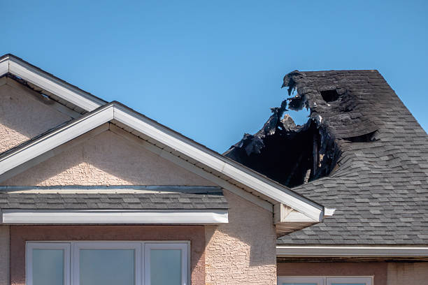 Top rated local Fire Damage Repair specialists in Gibsonton, FL